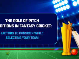 Fantasy Cricket Pitch Conditions and Team Selection